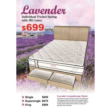 Lavender Individual Pocket Spring with HD Latex + Free bedframe with drawer